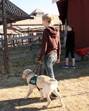 Kelsey with Jarvis