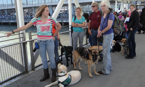 Waiting patiently to board