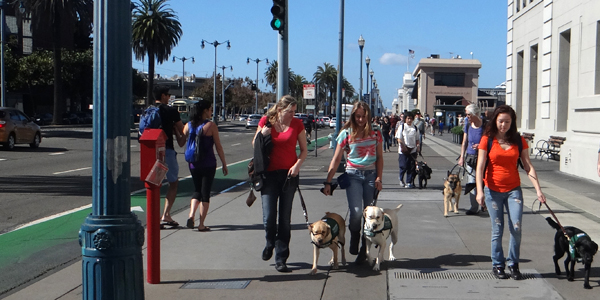 Walking back to ferry