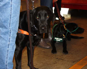 Danielle with black lab, Cashmere