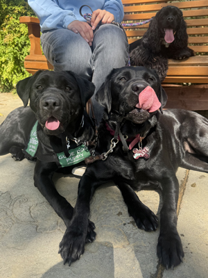 Lanza and Raya lying down and Raya with her tongue out