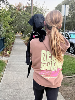 Nimitz being carried on a walk