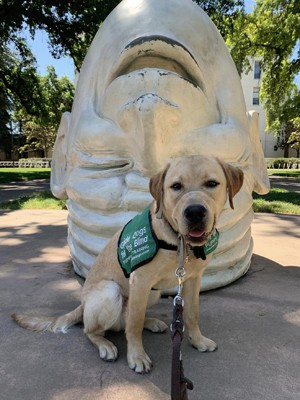 Jericho with egghead sculpture