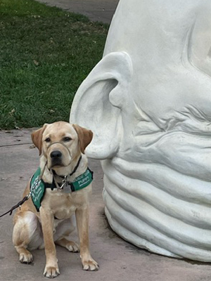 Jericho with egghead sculpture