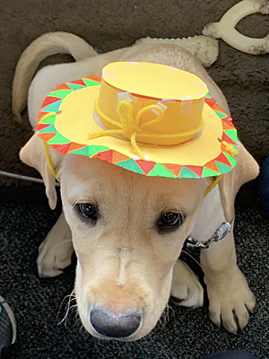 Orson wearing student made hat